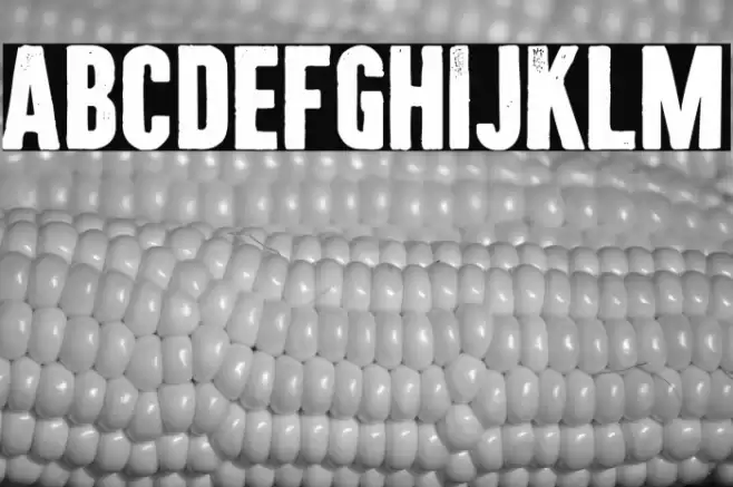 Citizen Carto Font examples