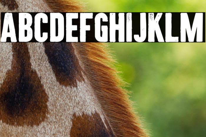 Citizen Carto Example 3