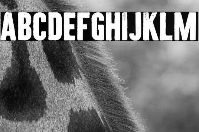 Citizen Carto Font examples