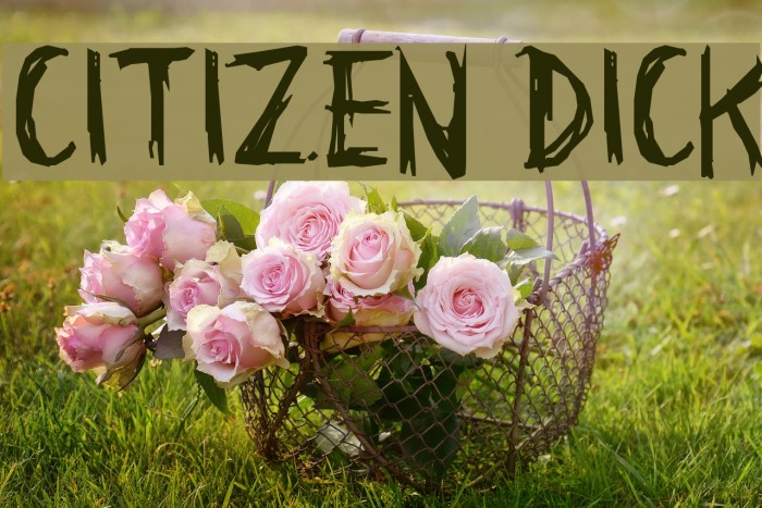 Citizen Dick Font examples