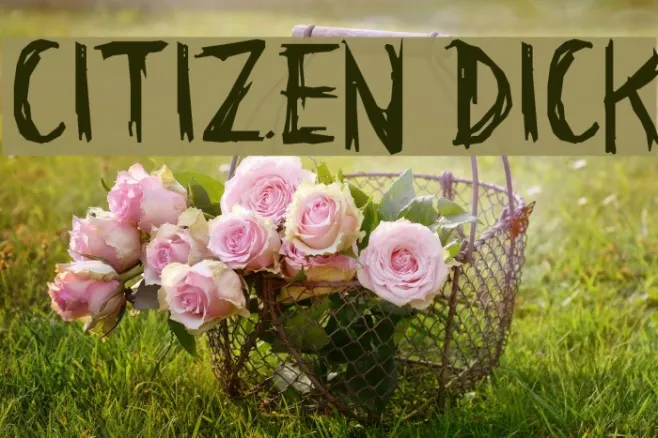 Citizen Dick Example 1