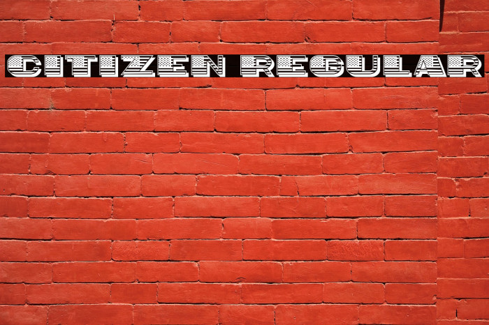 Citizen Regular Example 1