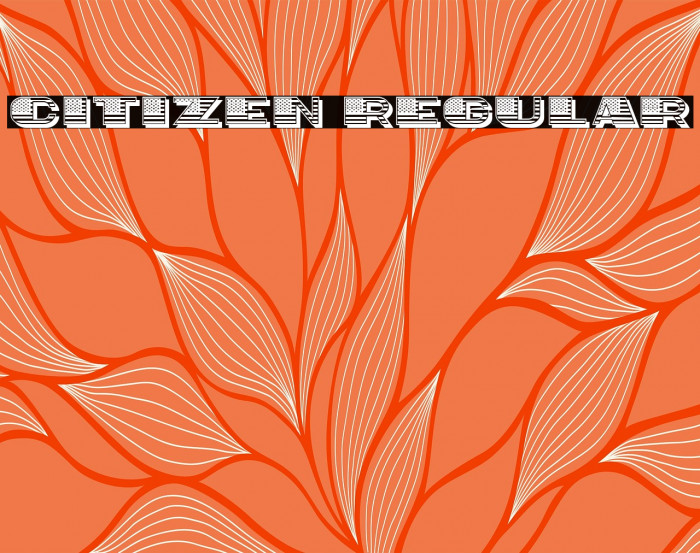 Citizen Regular Example 2