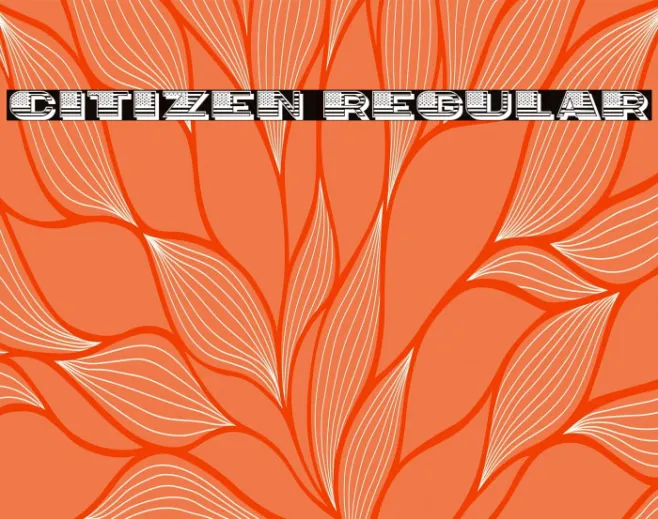 Citizen Regular Example 2