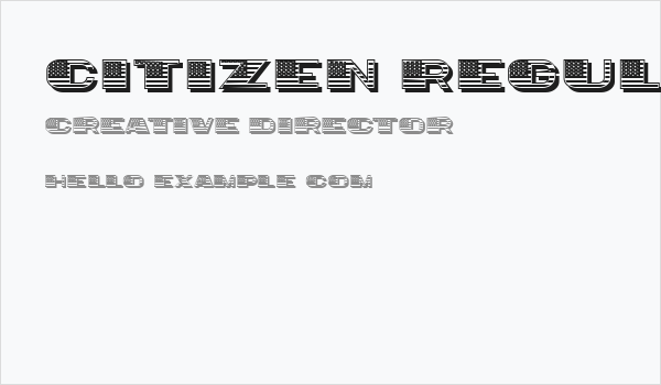 Citizen Regular Business Card