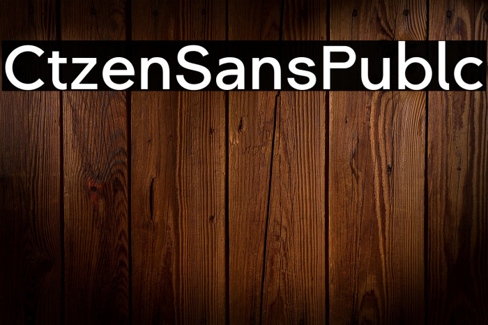 Citizen Sans Public Example 1