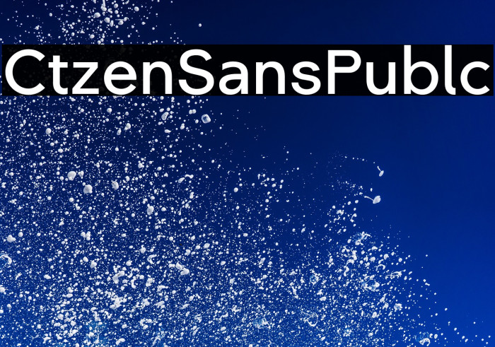 Citizen Sans Public Example 3