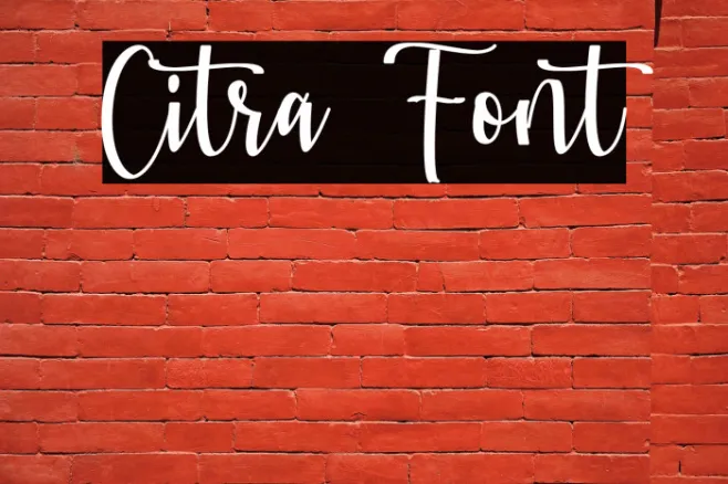 Citra Example 1
