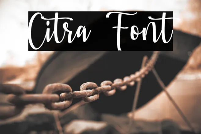 Citra Example 2
