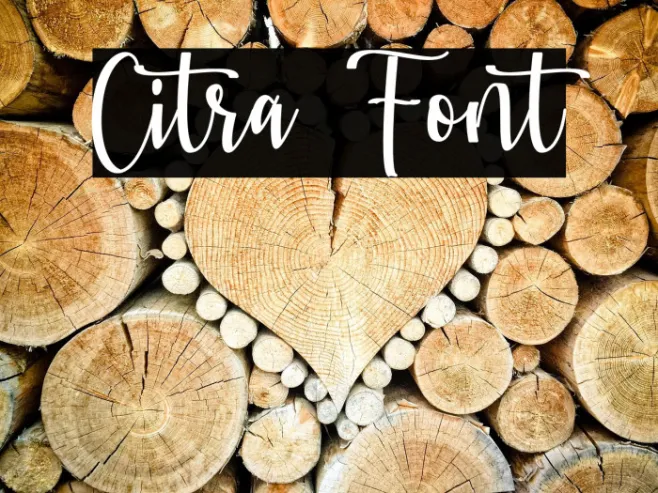 Citra Example 3