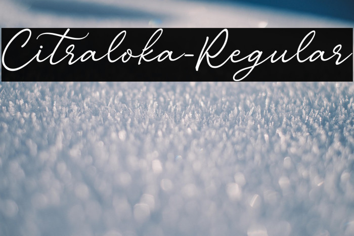 Citraloka-Regular Example 2