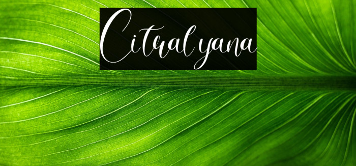 Citralyana Example 2