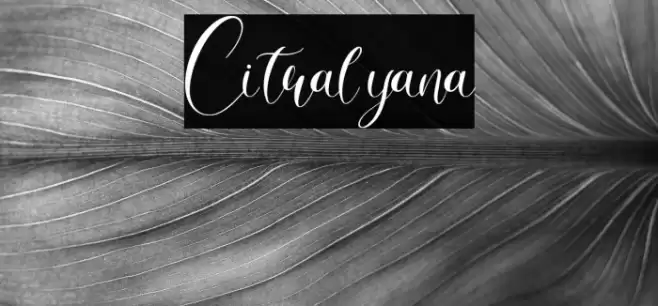 Citralyana Font examples