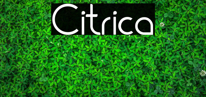 Citrica Font examples