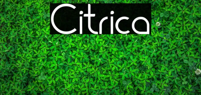 Citrica Example 2