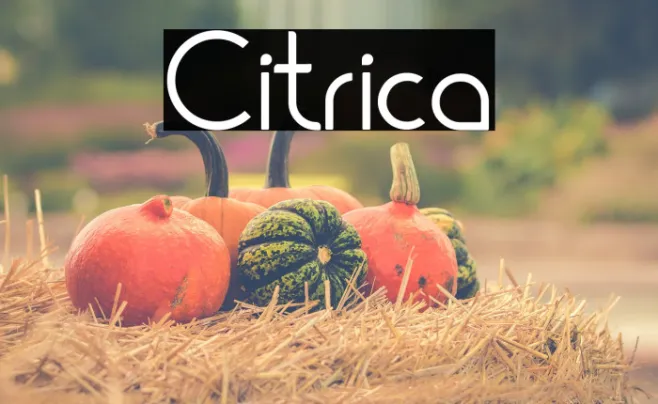 Citrica Example 3