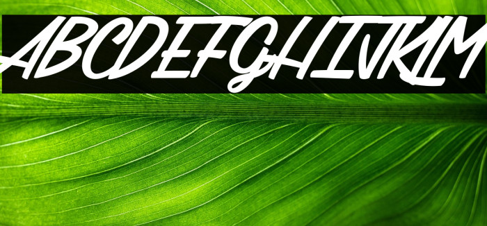 Citrus & Berries_PersonalUseOnly Example 3