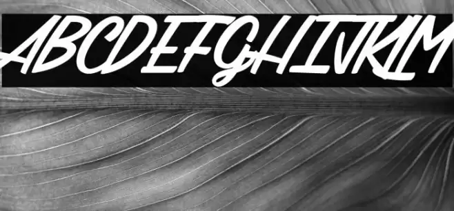 Citrus & Berries_PersonalUseOnly Font examples