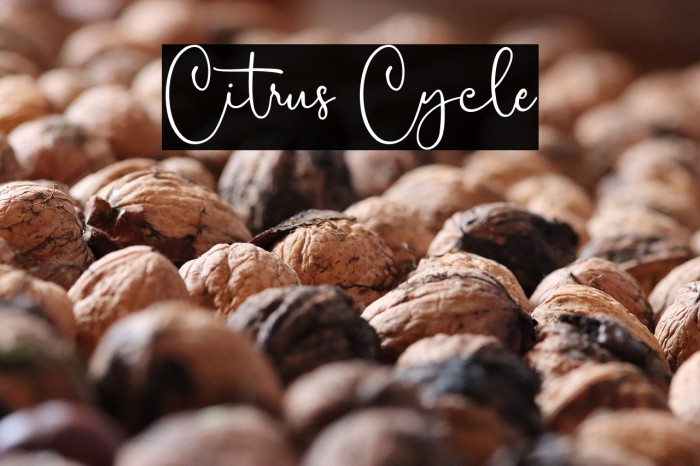 Citrus Cycle Example 3