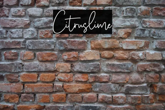 Citruslime Example 3