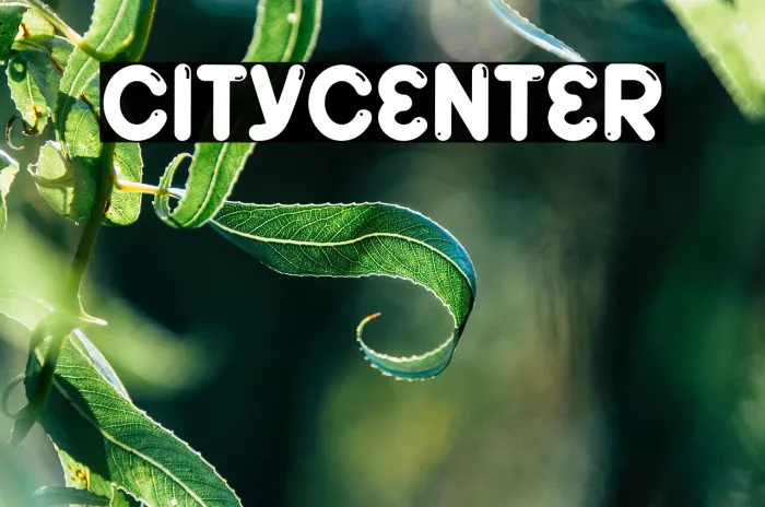 City Center Example 3