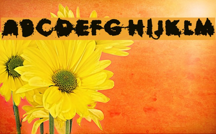 City Contrasts Font examples