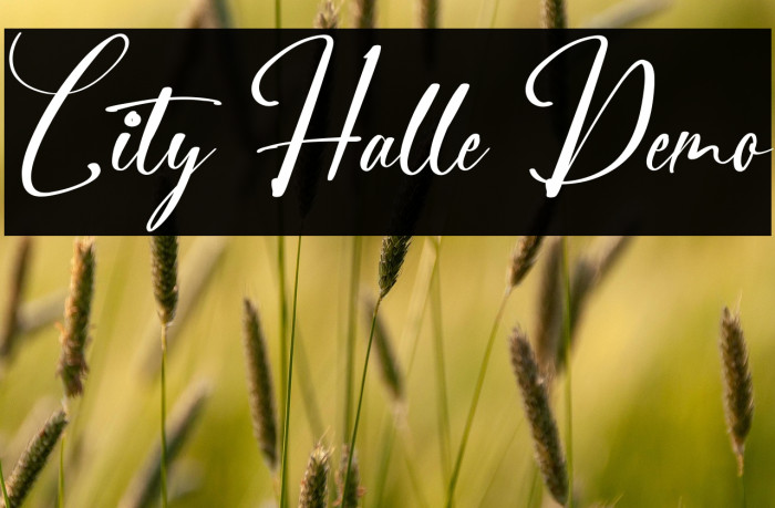 City Halle Demo Example 1