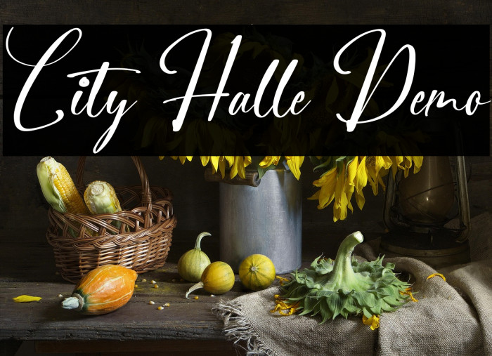City Halle Demo Example 3