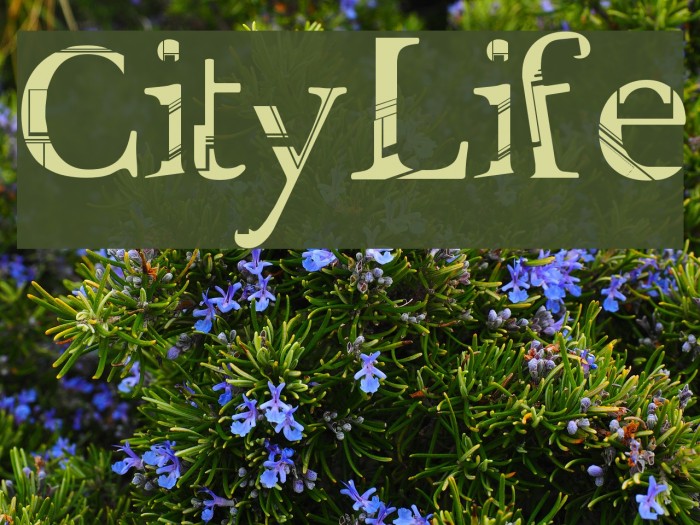 City Life Font examples