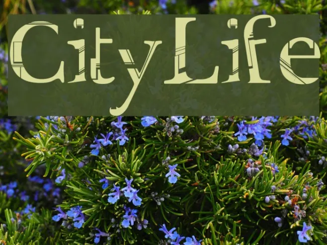 City Life Example 2
