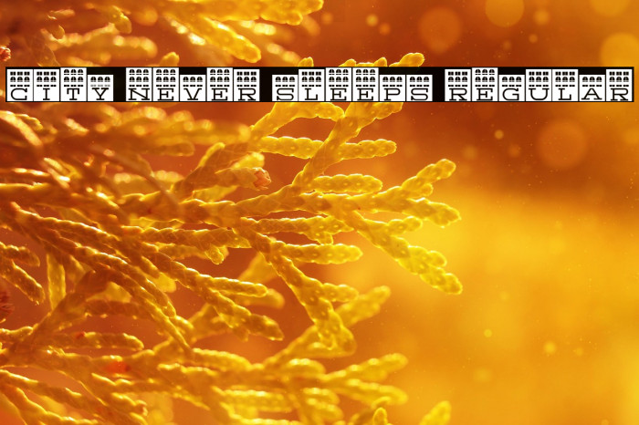 City Never Sleeps Regular Example 2