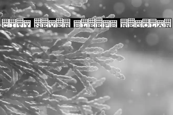 City Never Sleeps Regular Font examples