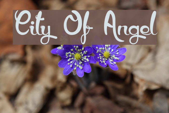 City Of Angel Font examples