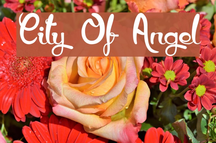 City Of Angel Font examples
