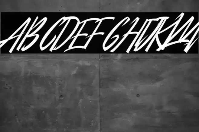 City Of Panonama Italic Font examples