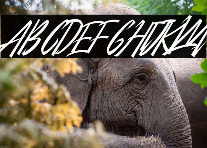 City Of Panonama Italic Example 3