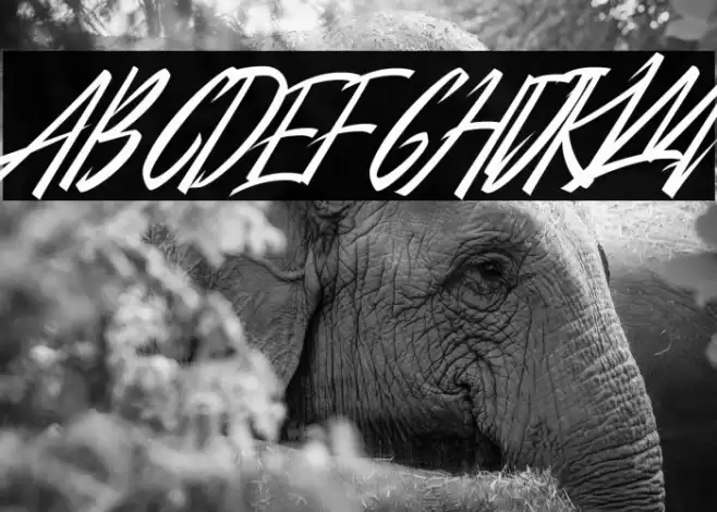 City Of Panonama Italic Font examples