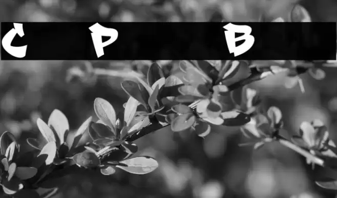 City Player Black Font examples