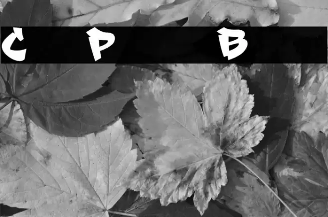 City Player Black Font examples