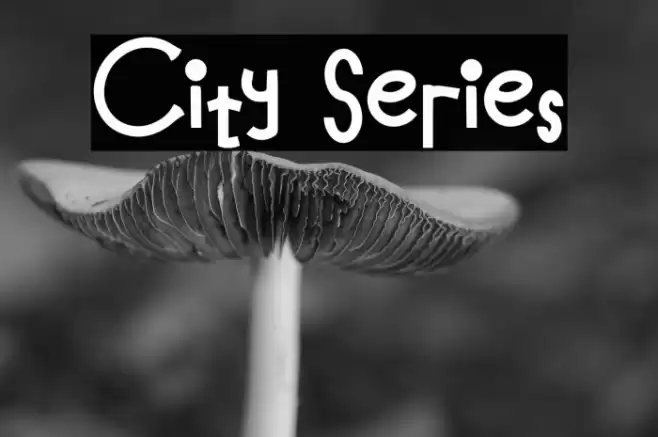 City Series Font examples