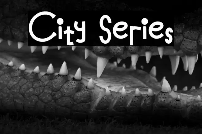 City Series Font examples
