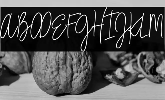 City Streetwear Regular Font examples