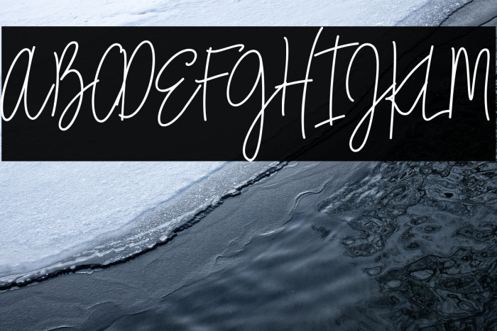 City Streetwear Regular Example 2