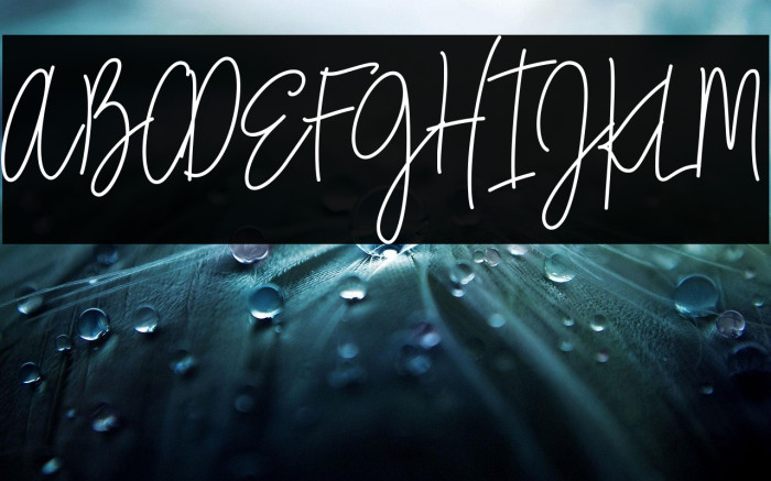 City Streetwear Regular Example 3