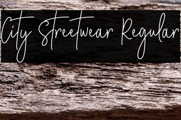 City Streetwear Regular Example 1