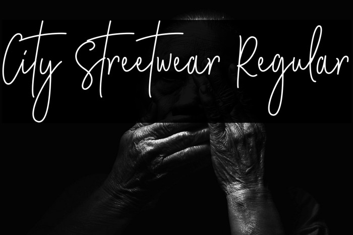 City Streetwear Regular Example 3