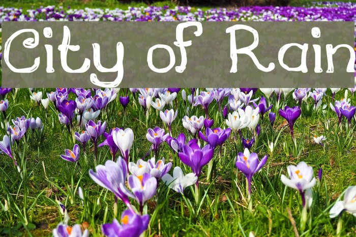 City of Rain Font examples