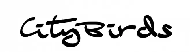 CityBirds  لخطوط تنزيل