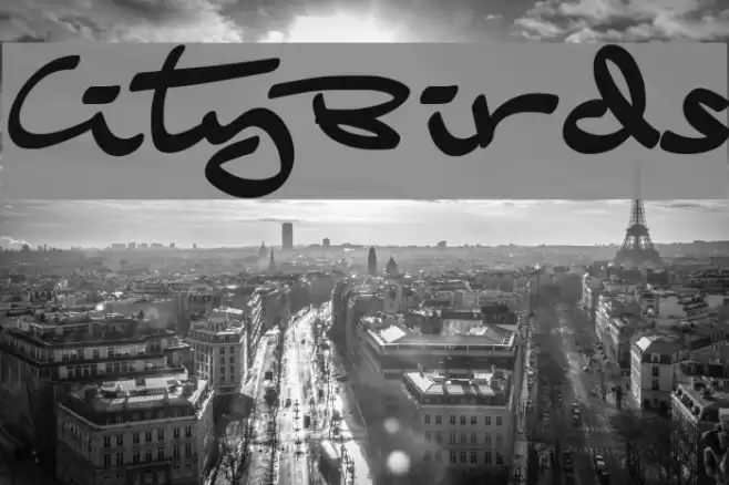 CityBirds Font examples