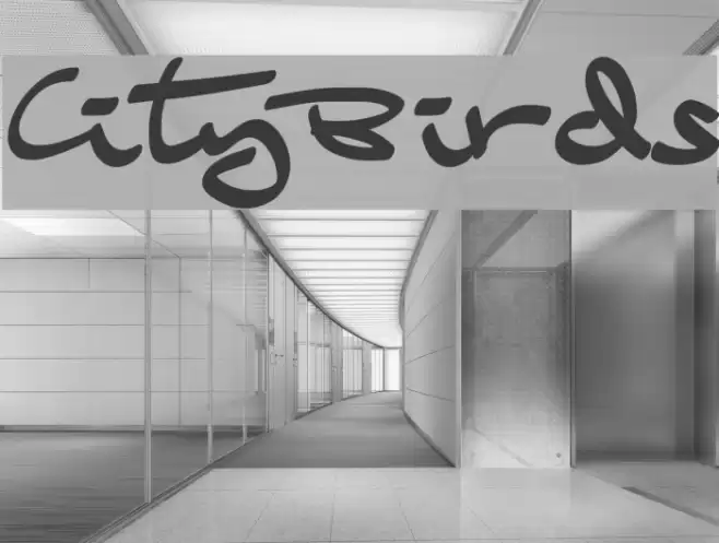 CityBirds Font examples